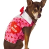 Rubies Pet Valentine's Day Sweetheart Pet Vest Costume