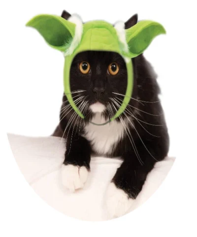 Rubies Pet Yoda Cat Ears Licensed Pet Costumes