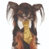 Rubies Gold Sequin Tie Pet Costume