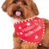 Rubies Santa Paws Bandana