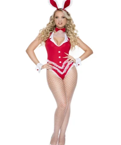Music Legs Animals Seductive Rabbit Womens Costume