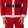 Rubies Teen Promotional Felt Santa Costume Holiday Kids Costume