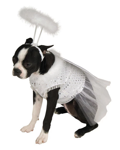 Rubies Holiday Pet Costumes Dog Angel With Halo Costume