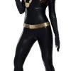 Rubies Grand Heritage Adult Catwoman Costume - Classic Batman TV Show 1966 Ladies Licensed Costumes