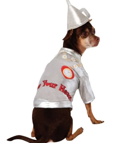 Rubies Pet Tin Man Costume Licensed Pet Costumes