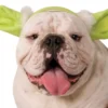 Rubies Pet Yoda Dog Ears