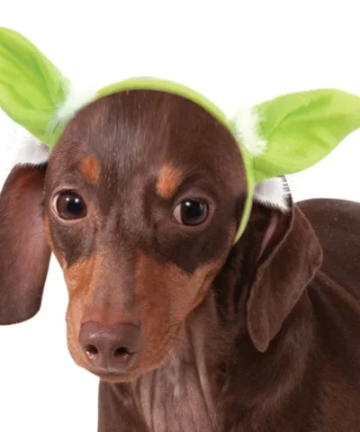 Rubies Pet Yoda Dog Ears