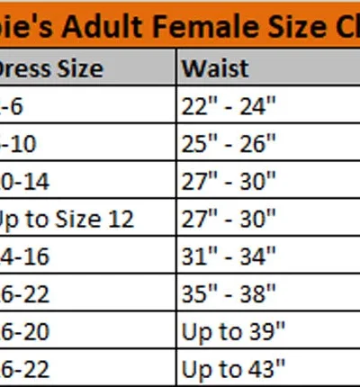 Rubies Adult Secret Wishes WonderWoman Justice League Costume Ladies Licensed Costumes