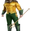 Rubies Mens Licensed Costumes Adult Aquaman Deluxe Aquaman Costume