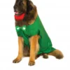 Rubies Holiday Pet Costumes Big Dog Leprechaun Costume