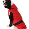 Rubies Big Dog Mrs. Claus Costume