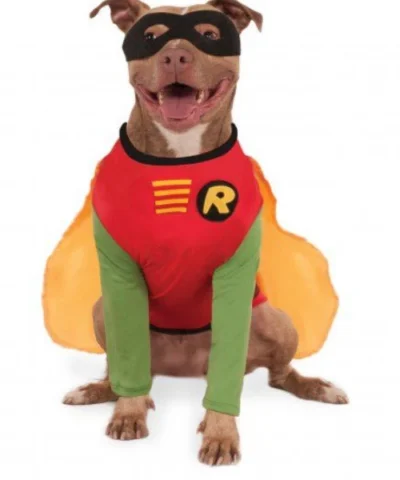 Rubies DC Comics Teen Titans Robin Pet Costume