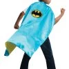 Rubies Kids Batman And Robin 2-in-1 Reversible Super Hero Cape Kids Licensed Costumes
