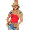 Leg Avenue Weapons Props And Kits Scarecrow Costume Kit With Hat